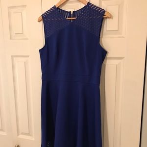 Ted Baker Skater Dress